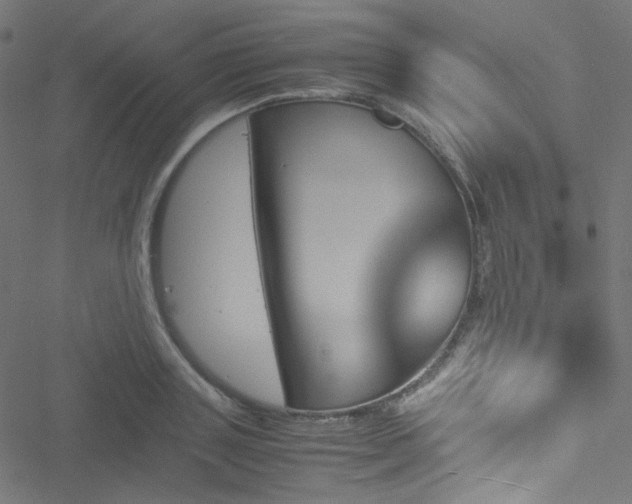 X0000051900843200506241412