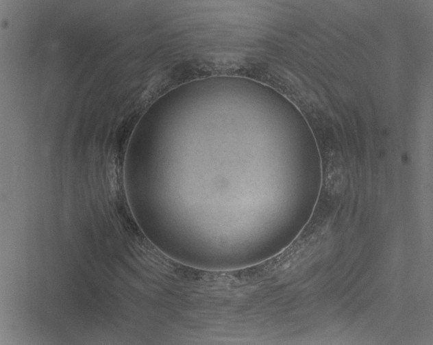 X0000051900866200506241411