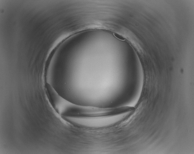 X0000051900902200506241411