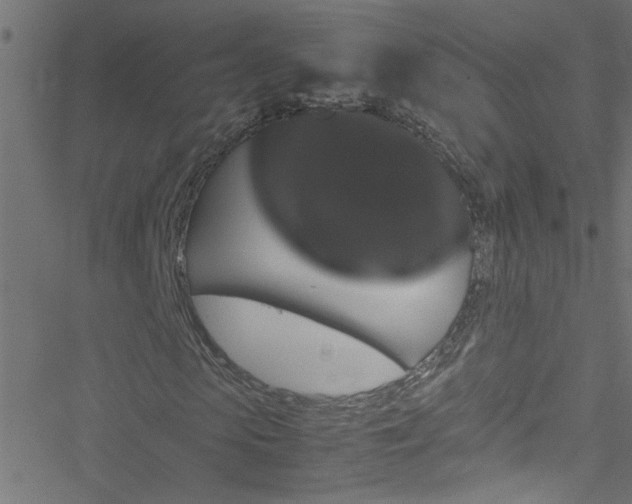 X0000051900913200506241410