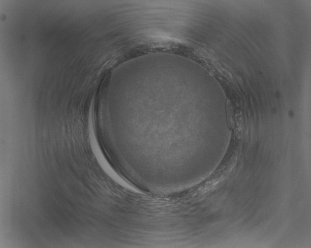 X0000051900916200506241410