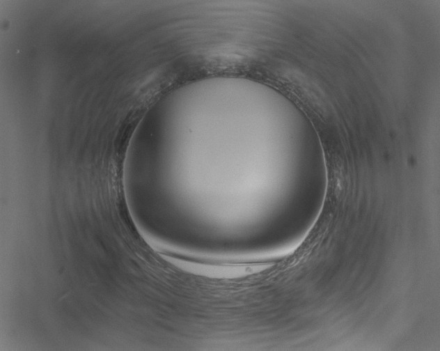 X0000051900964200506241410