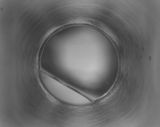 X0000051900988200506241409