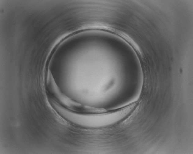 X0000051900996200506241409