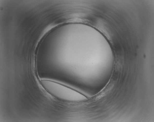 X0000051901000200506241409