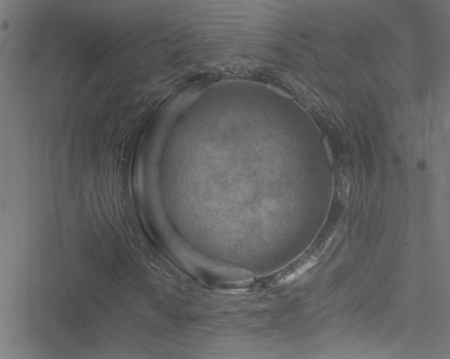 X0000051901010200506241408