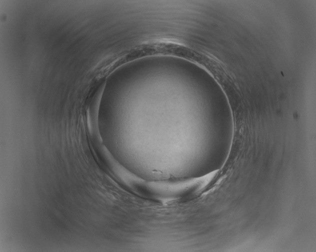 X0000051901014200506241408