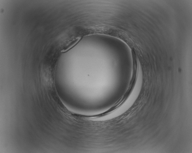 X0000051901058200506241408