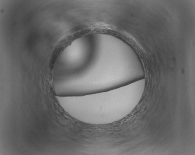 X0000051901063200506241408