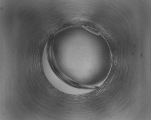 X0000051901108200506241407