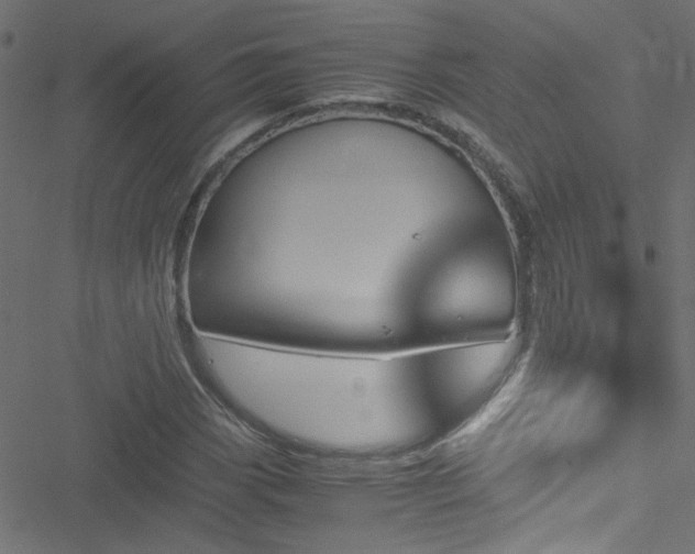X0000051901113200506241407
