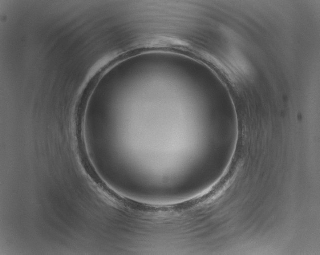 X0000051901122200506241407