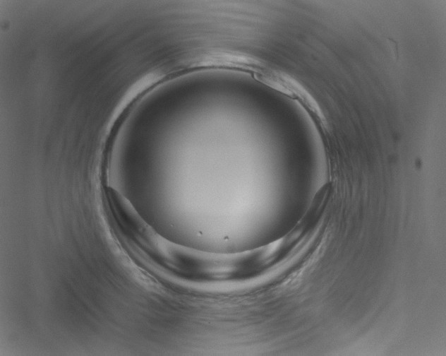 X0000051901138200506241407