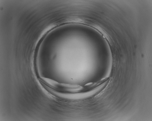 X0000051901139200506241407