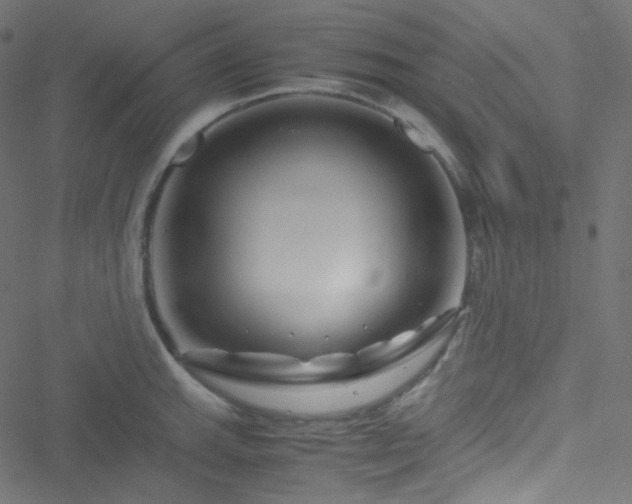 X0000051901143200506241407