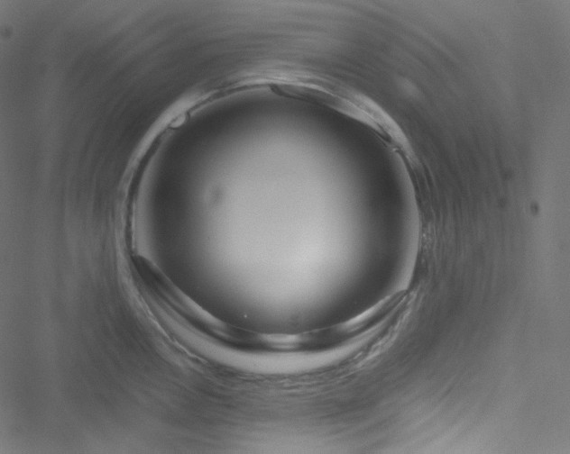X0000051901146200506241407