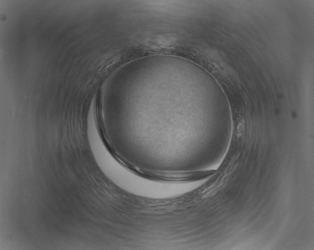 X0000051901156200506241407