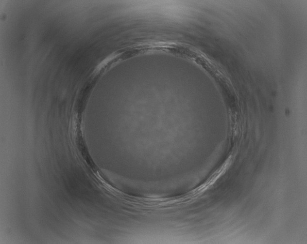 X0000051901161200506241407
