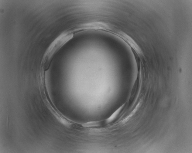 X0000051901196200506241406