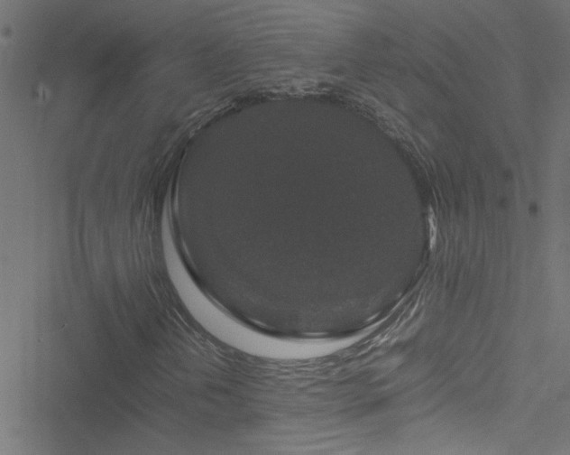 X0000051901202200506241405