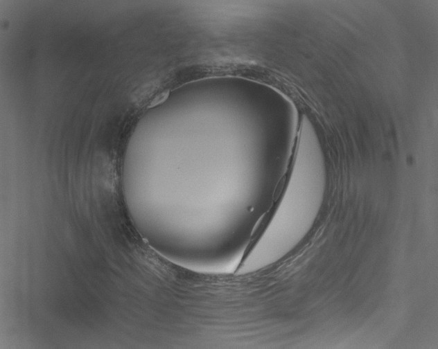 X0000051901204200506241405
