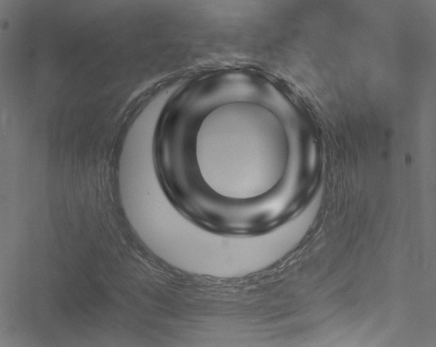 X0000051901206200506241405