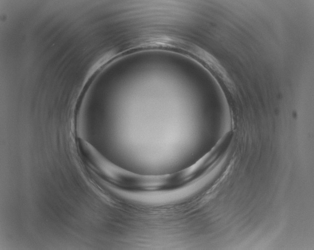 X0000051901234200506241406