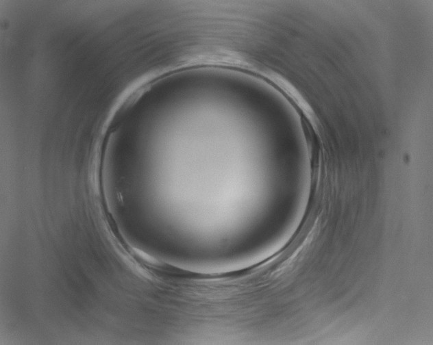 X0000051901246200506241406