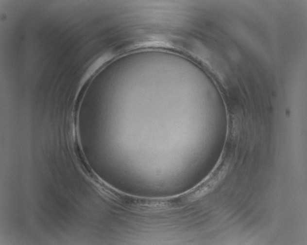 X0000051901274200506241405