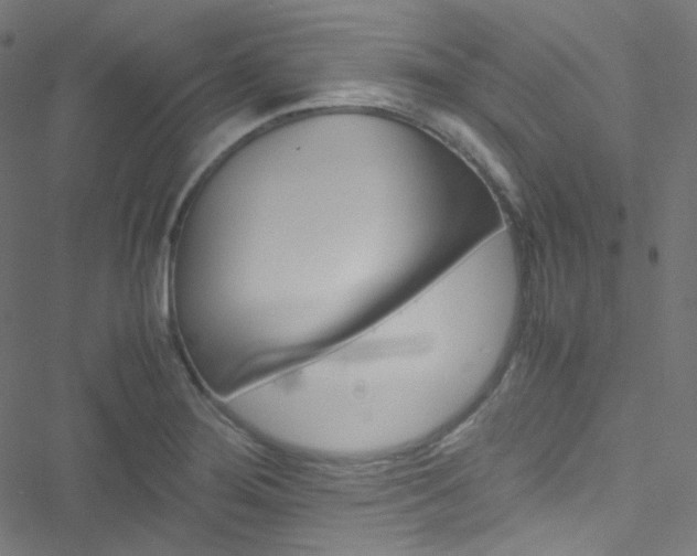 X0000051901276200506241405