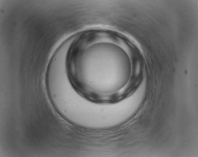 X0000051901279200506241405