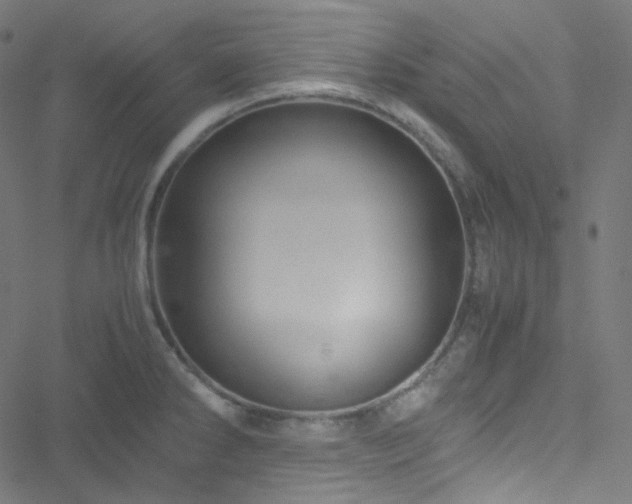 X0000051901286200506241405