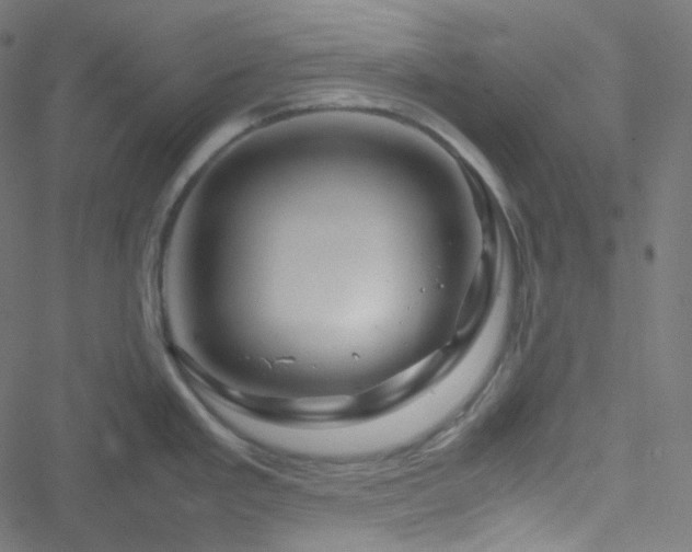 X0000051901293200506241405