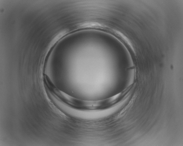 X0000051901330200506241404