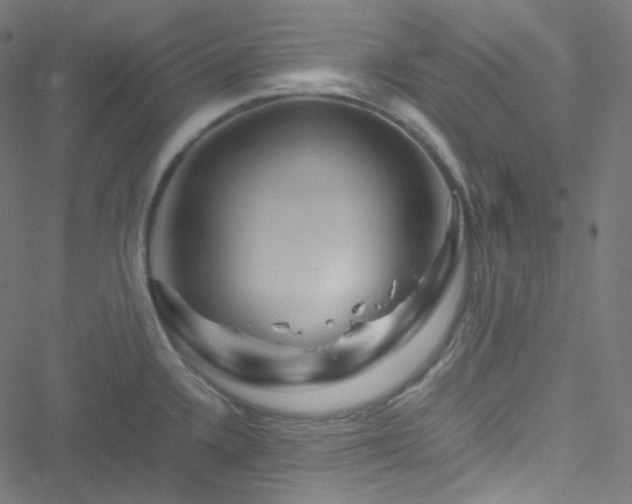 X0000051901336200506241404