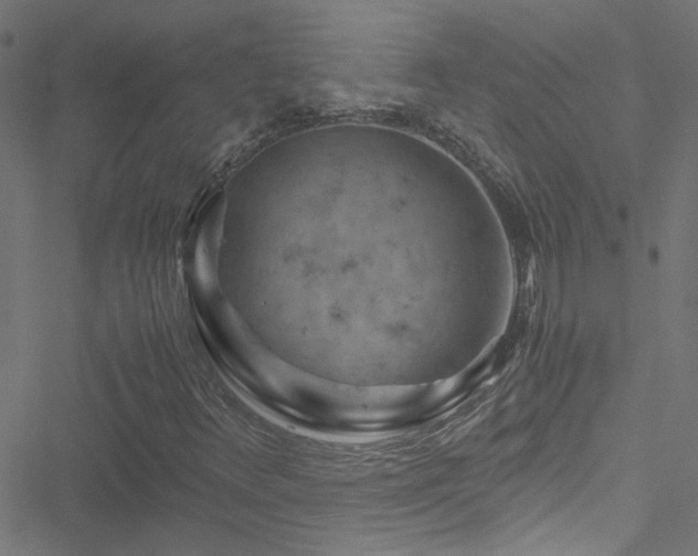X0000051901348200506241404