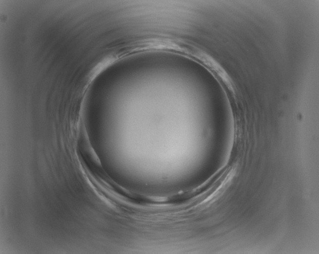 X0000051901385200506241403