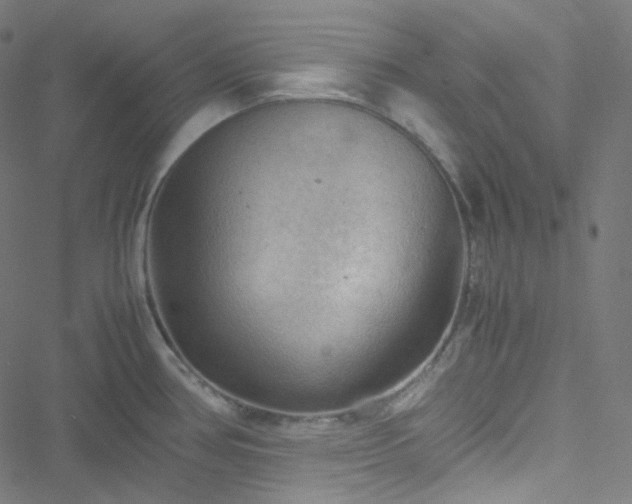 X0000051901386200506241403
