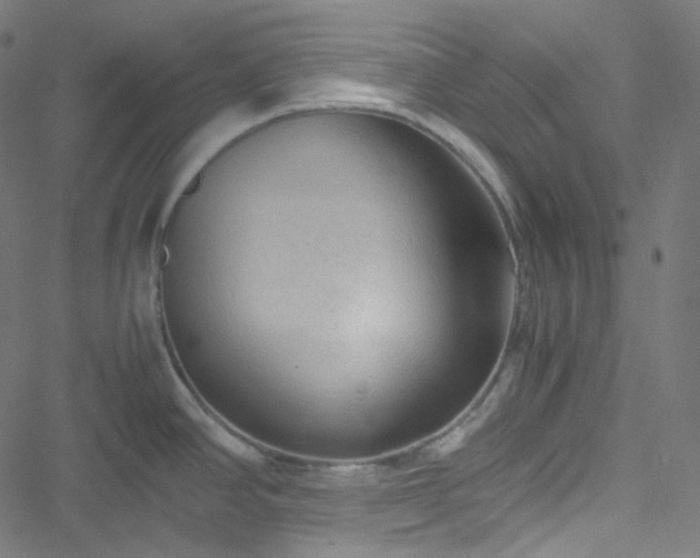X0000051901390200506241403