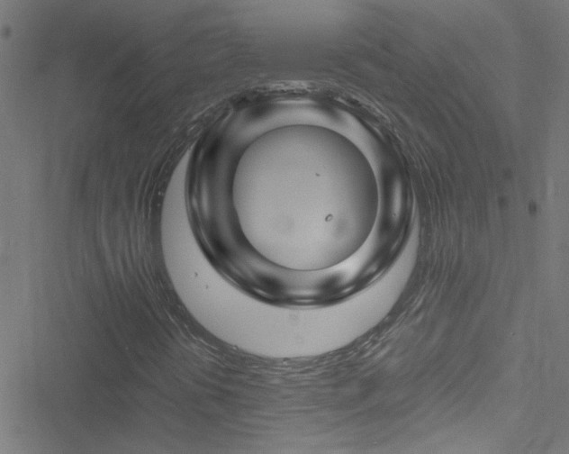 X0000051901394200506241402