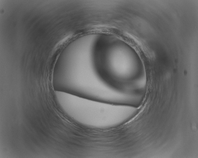 X0000051901403200506241402