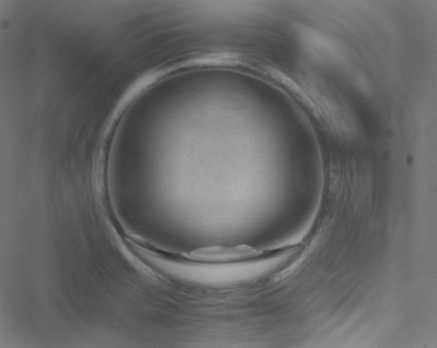 X0000051901421200506241403