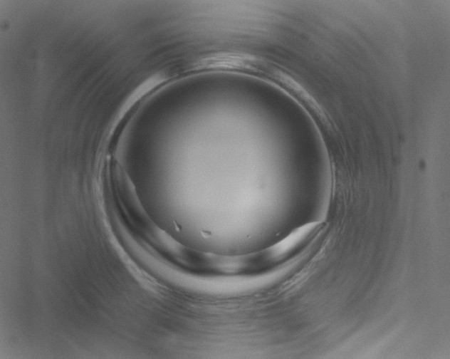X0000051901426200506241403