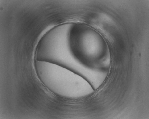 X0000051901427200506241403