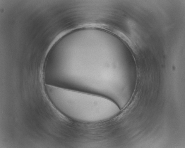 X0000051901428200506241403
