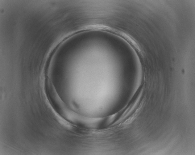 X0000051901430200506241403