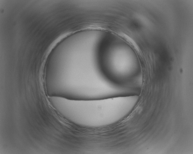 X0000051901435200506241403