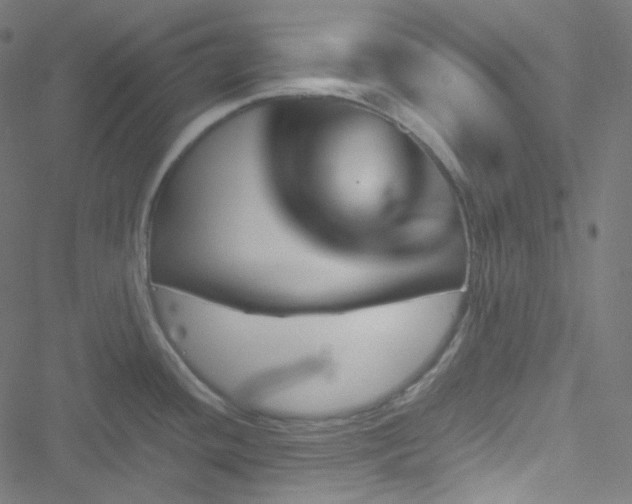 X0000051901436200506241403
