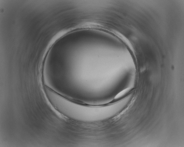 X0000051901437200506241403