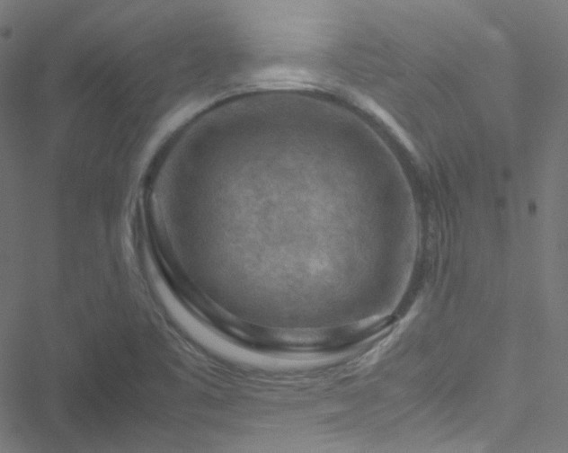 X0000051901461200506241402